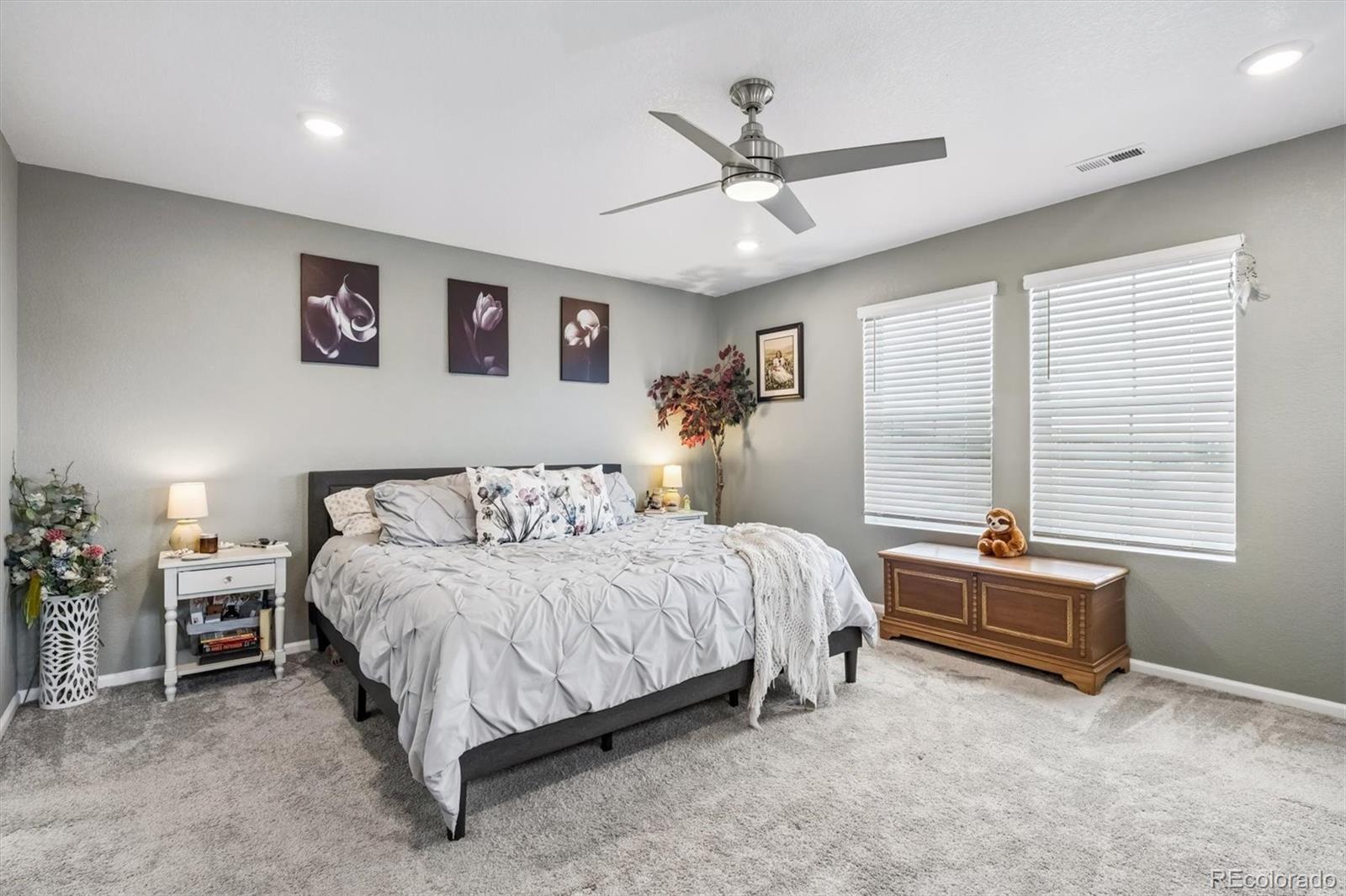 MLS Image #12 for 707  prairie clover way,brighton, Colorado