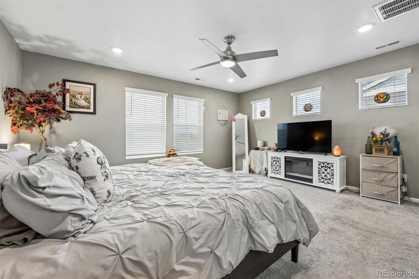 MLS Image #13 for 707  prairie clover way,brighton, Colorado