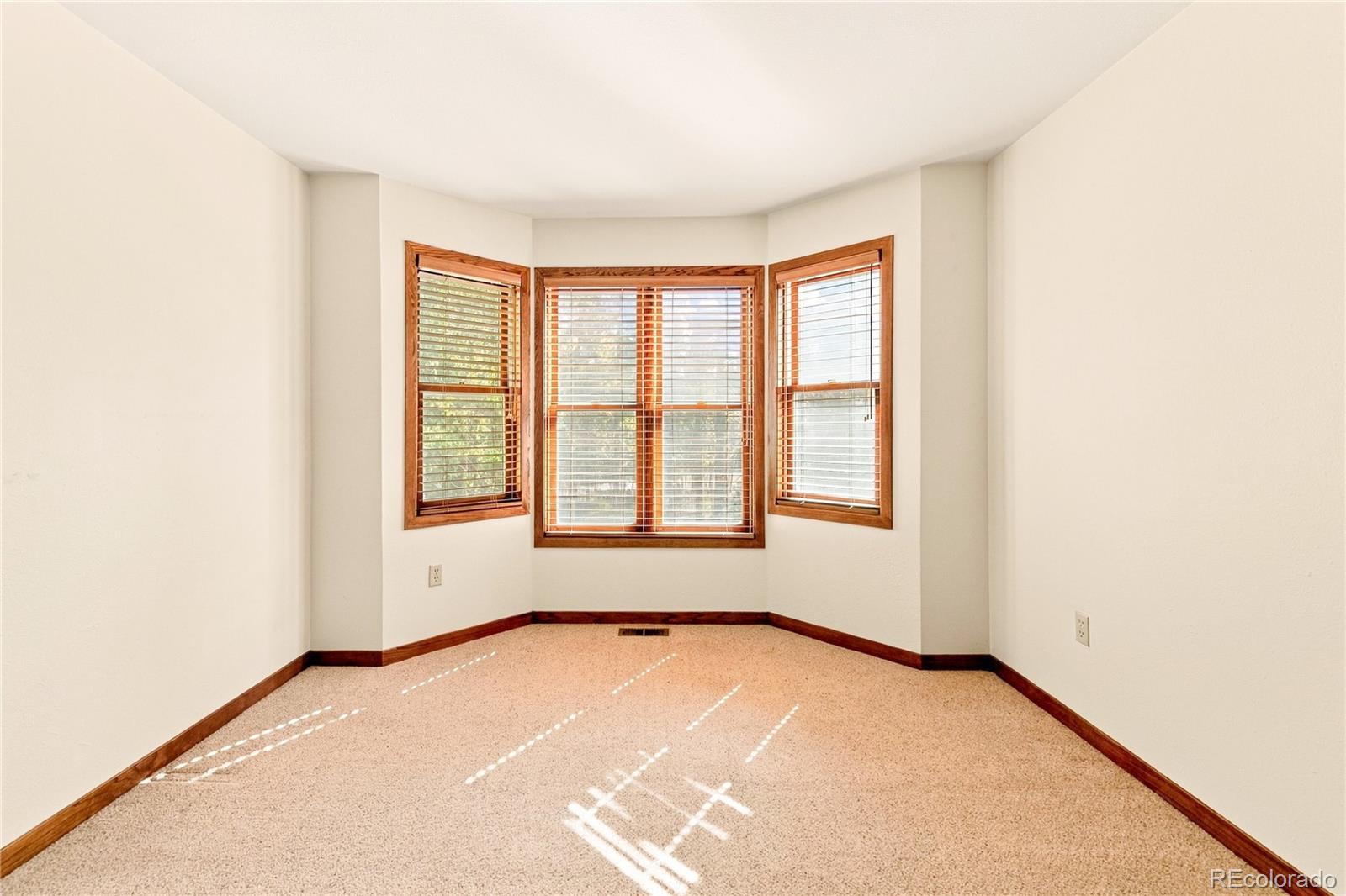 MLS Image #12 for 211  cedar way,black hawk, Colorado