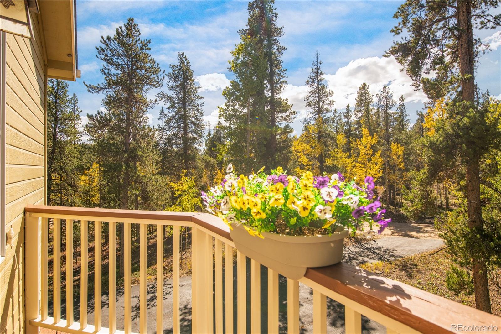 MLS Image #22 for 211  cedar way,black hawk, Colorado