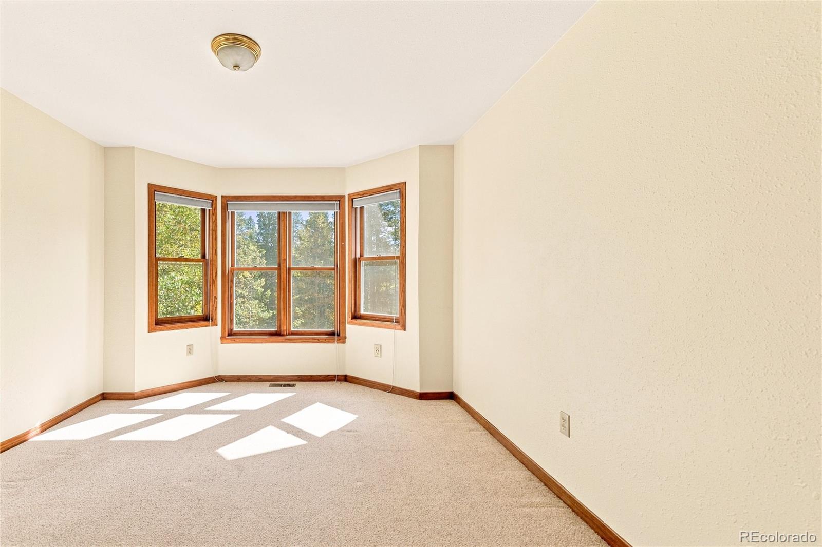 MLS Image #25 for 211  cedar way,black hawk, Colorado