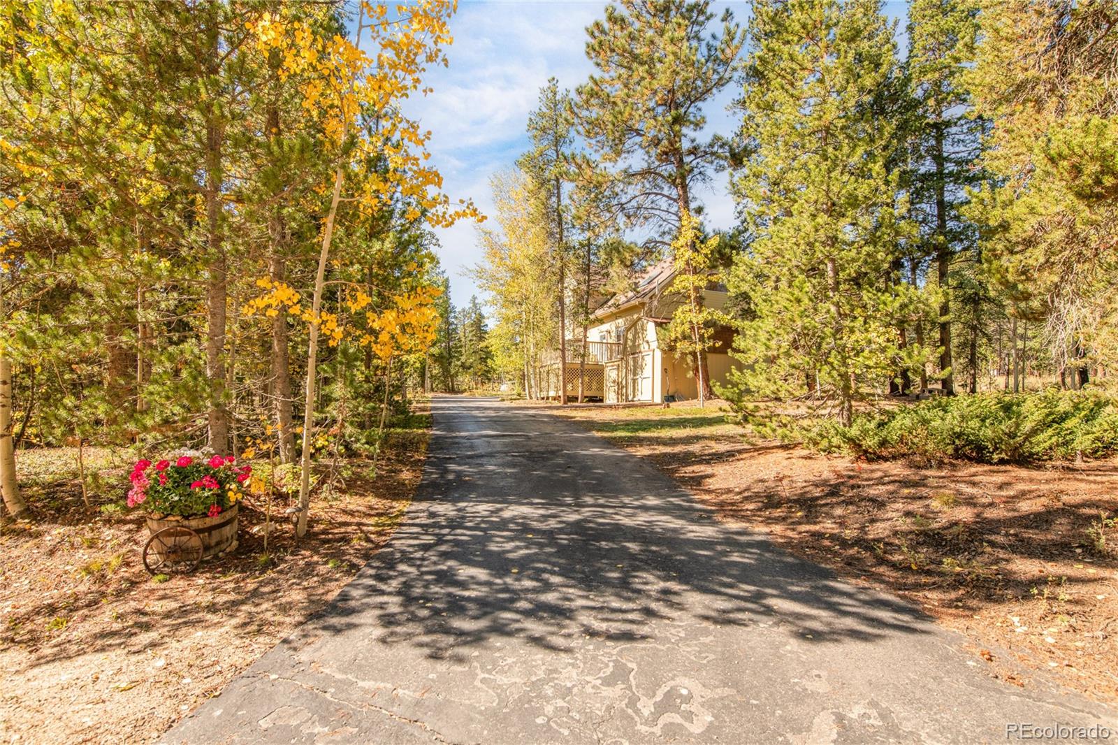 MLS Image #39 for 211  cedar way,black hawk, Colorado