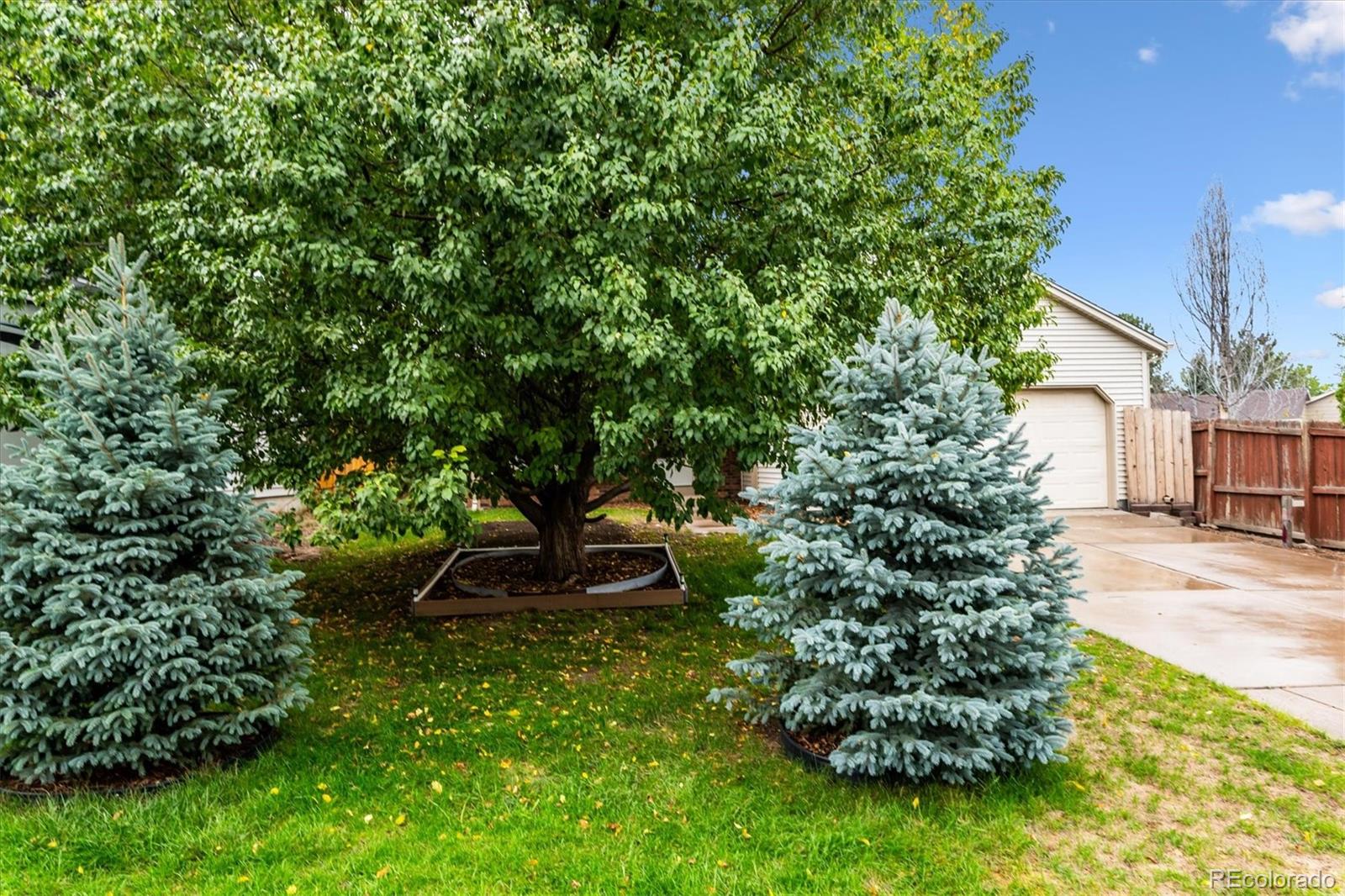 MLS Image #30 for 17628  junegrass place,parker, Colorado