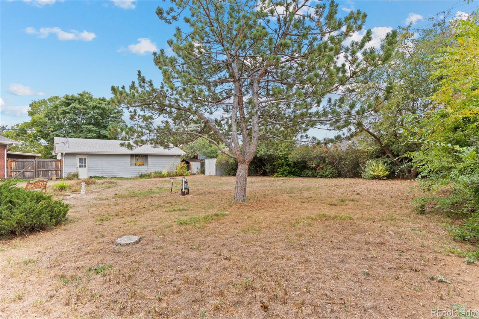 MLS Image #37 for 11349  marion street,northglenn, Colorado