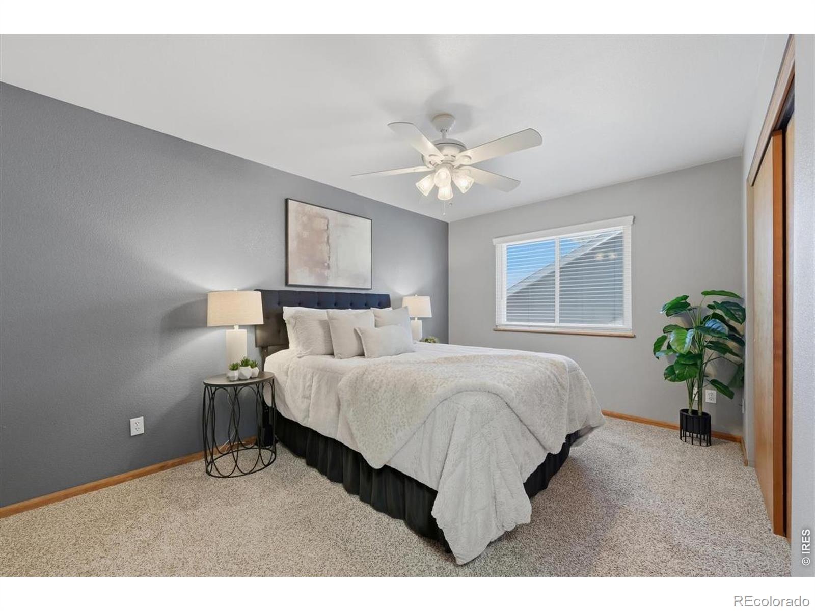 MLS Image #12 for 618  aviara street,johnstown, Colorado