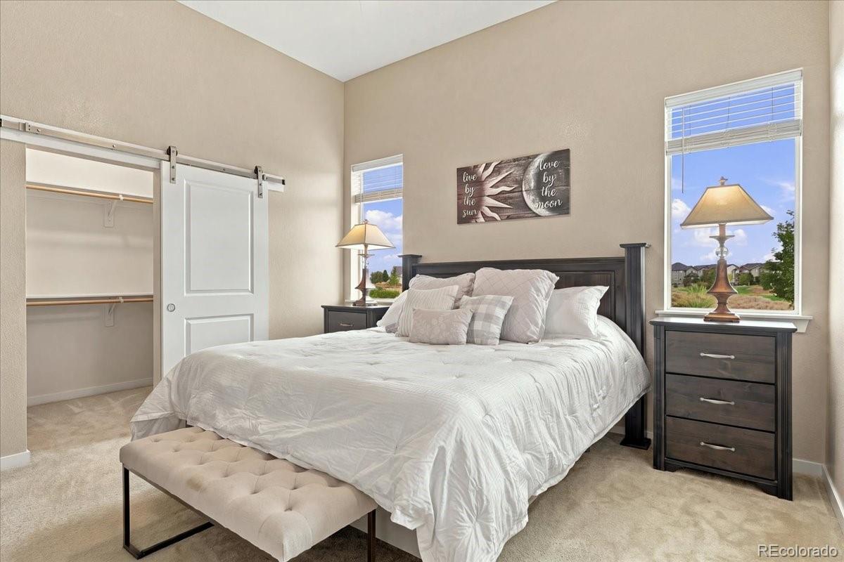 MLS Image #18 for 5892  rendezvous parkway,timnath, Colorado