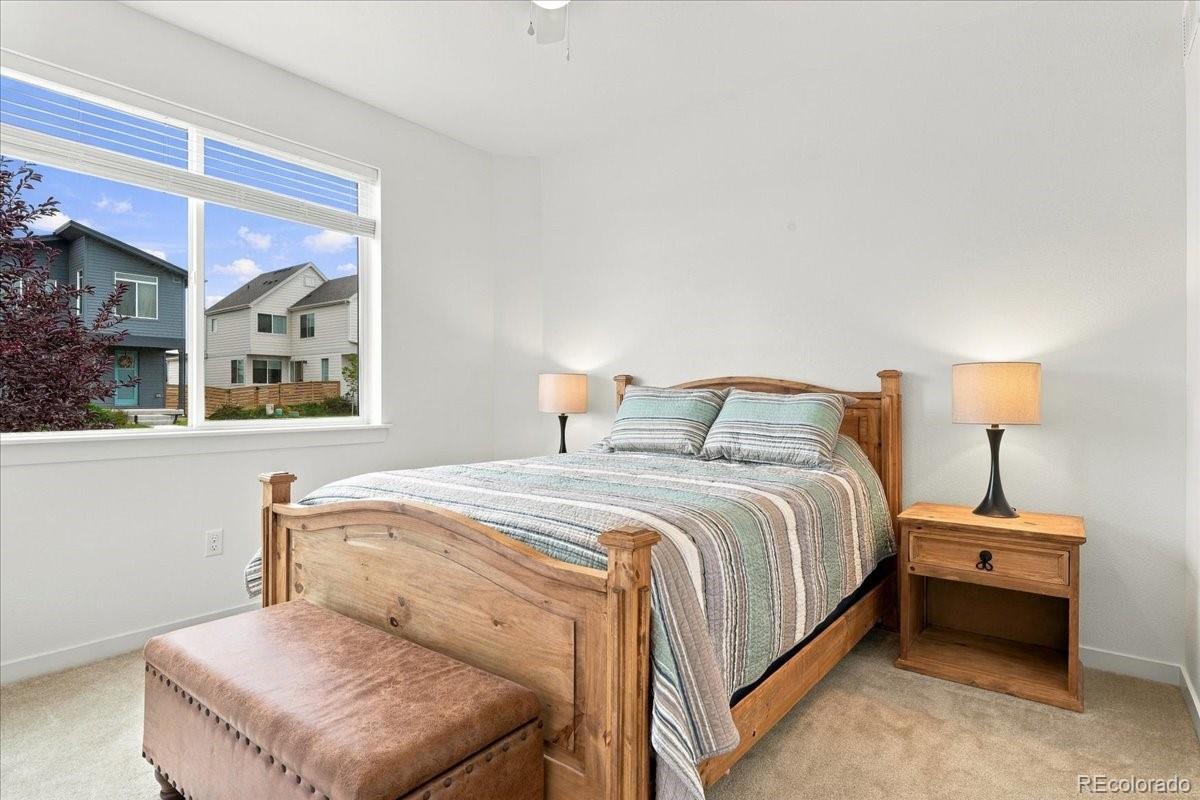 MLS Image #24 for 5892  rendezvous parkway,timnath, Colorado