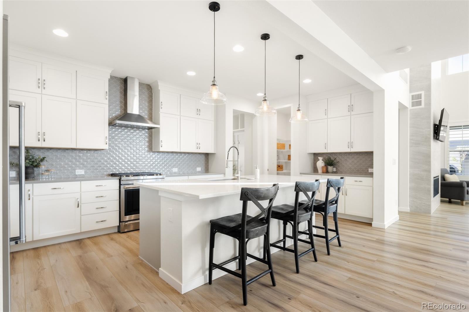 MLS Image #3 for 11103  cloud shadow street,littleton, Colorado