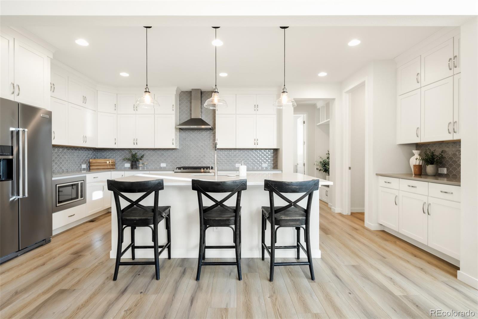MLS Image #4 for 11103  cloud shadow street,littleton, Colorado