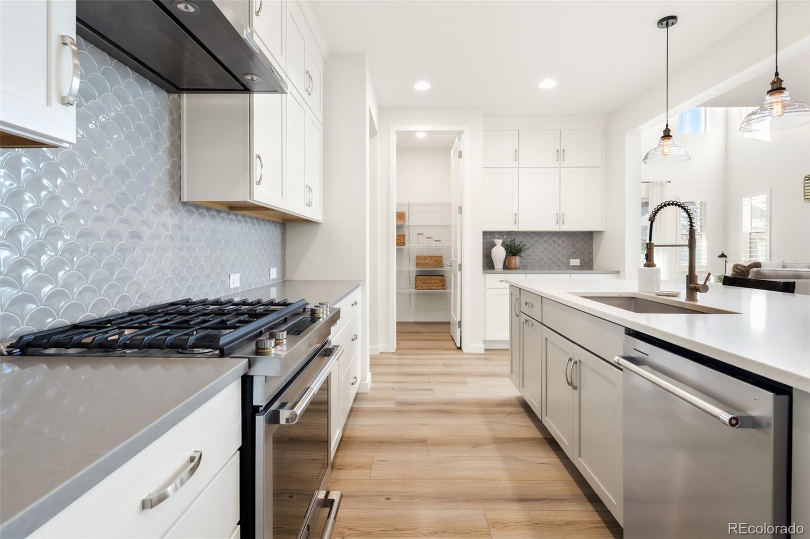 MLS Image #8 for 11103  cloud shadow street,littleton, Colorado