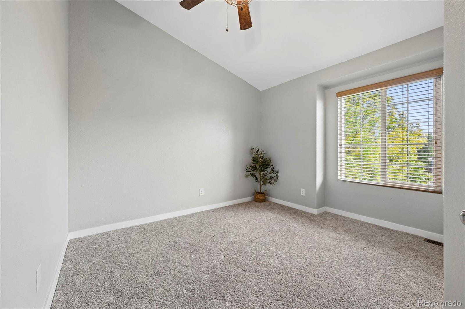 MLS Image #13 for 1276  livingston avenue,colorado springs, Colorado
