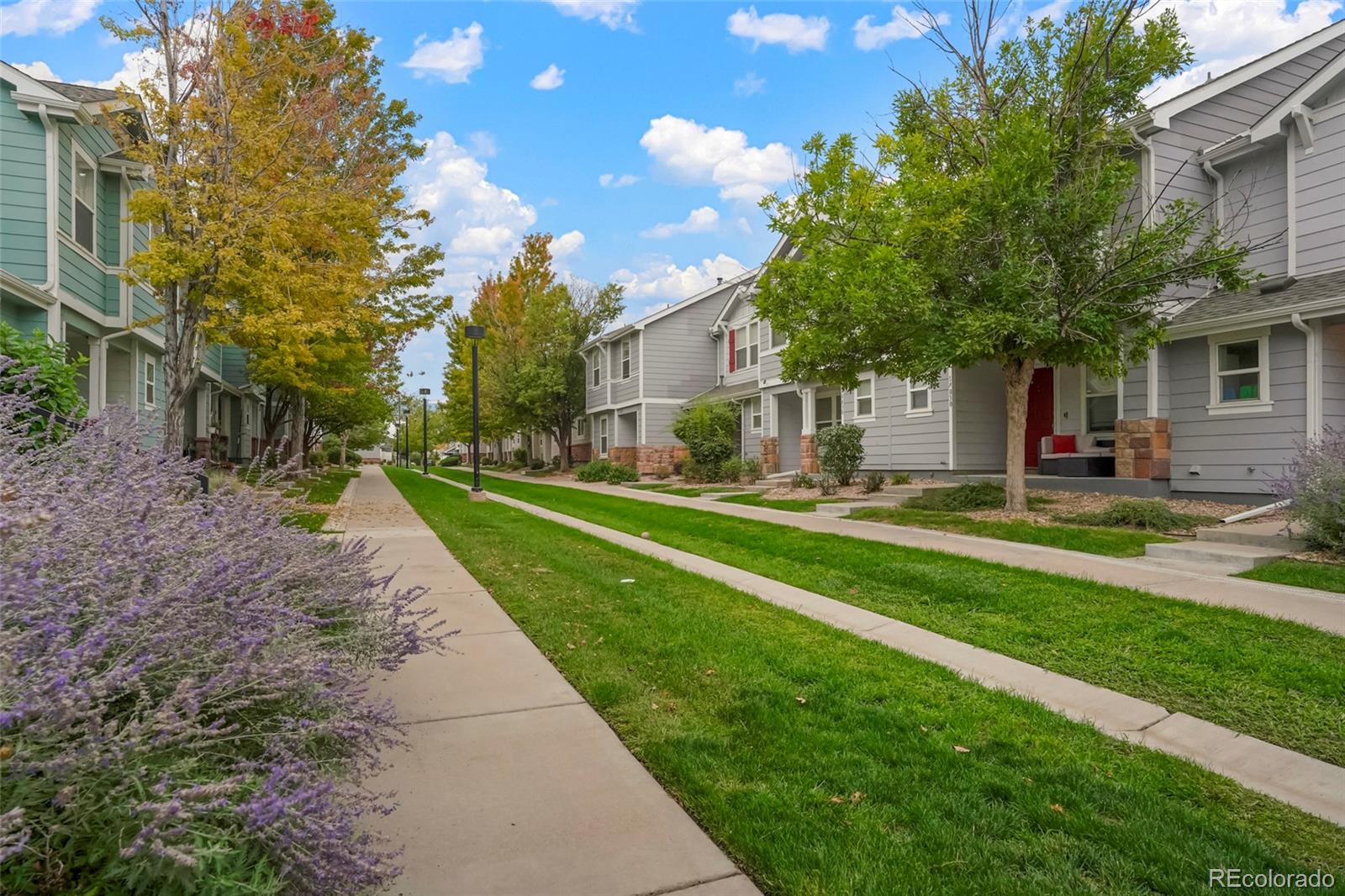 MLS Image #2 for 19035 e 57th place ,denver, Colorado