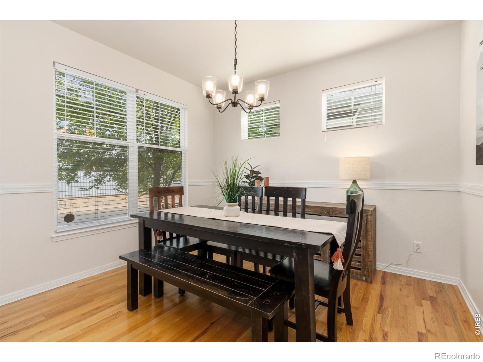 MLS Image #5 for 5257  cornerstone drive,fort collins, Colorado