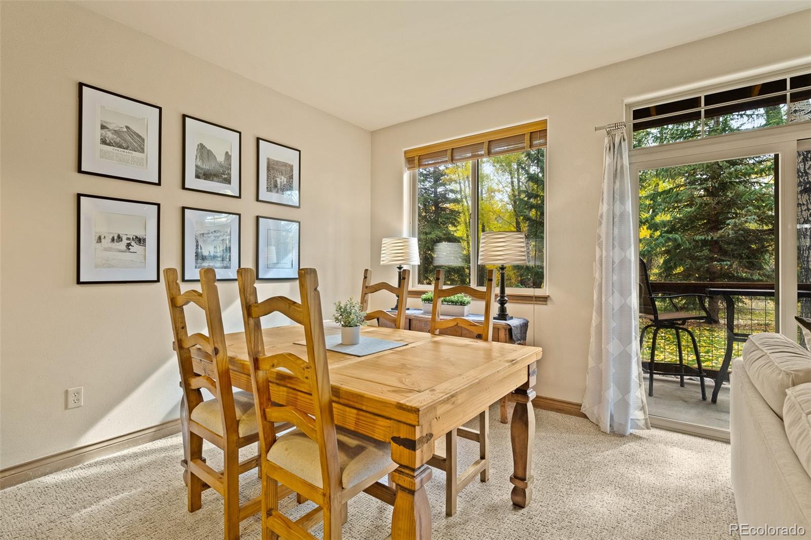MLS Image #10 for 846  blue river parkway,silverthorne, Colorado