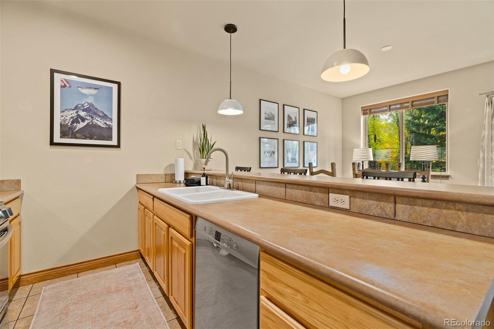 MLS Image #15 for 846  blue river parkway,silverthorne, Colorado