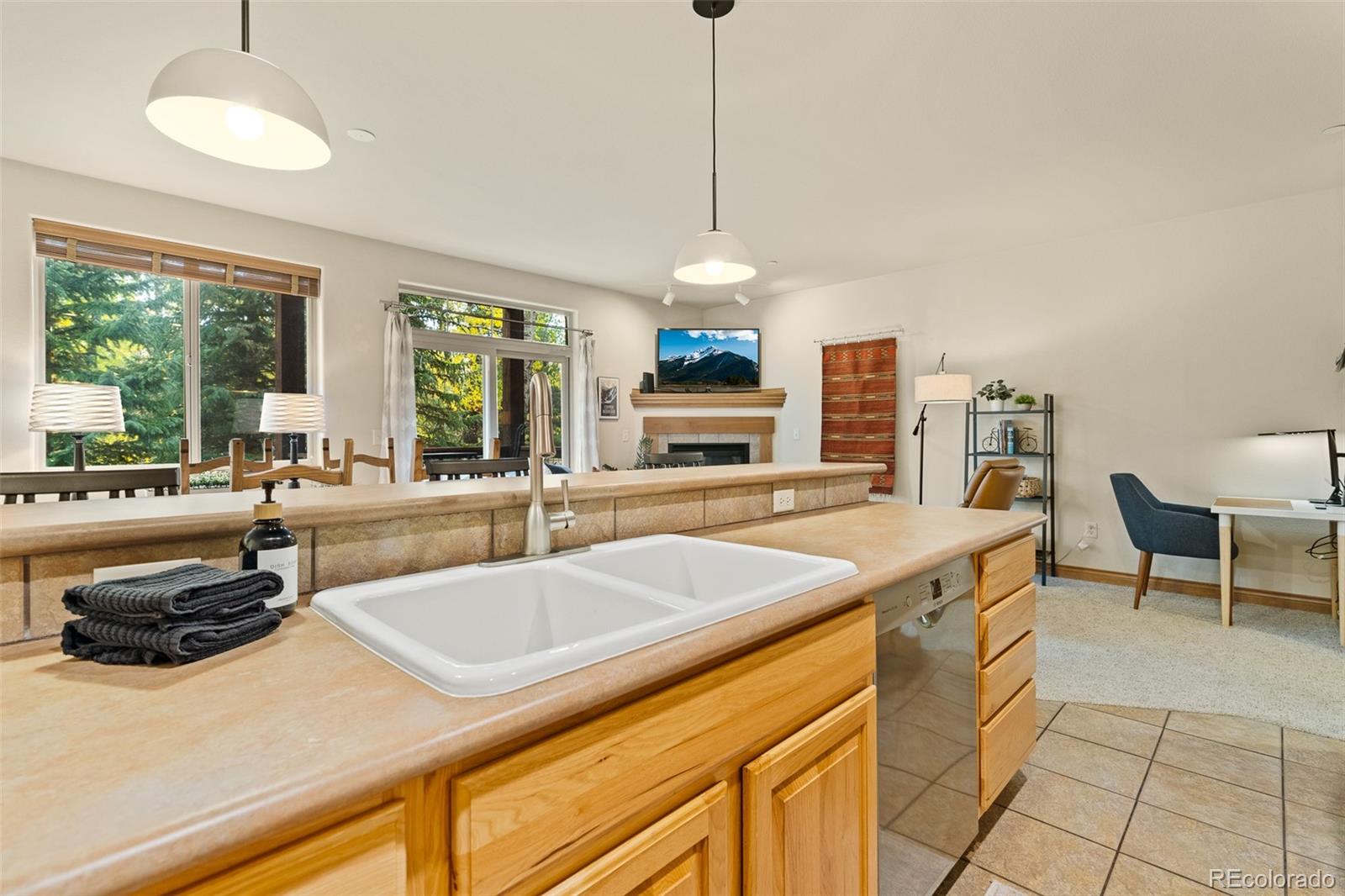 MLS Image #16 for 846  blue river parkway,silverthorne, Colorado
