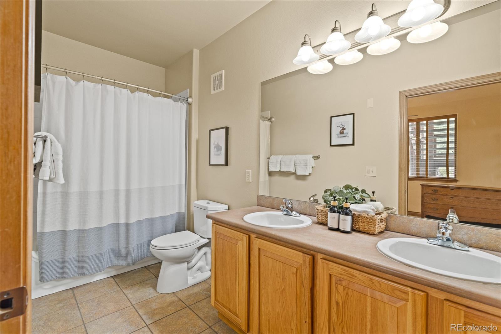 MLS Image #20 for 846  blue river parkway,silverthorne, Colorado