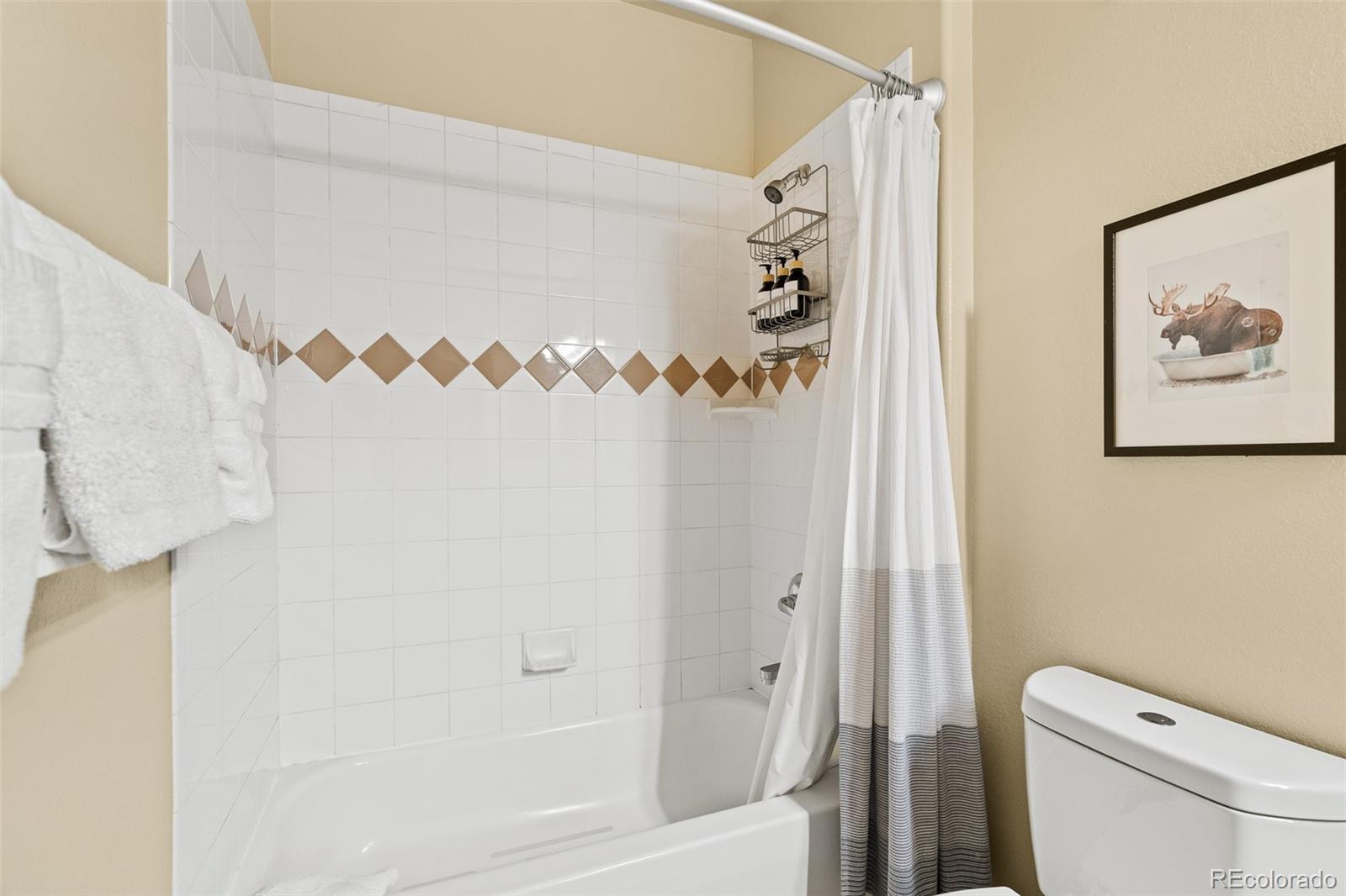 MLS Image #21 for 846  blue river parkway,silverthorne, Colorado
