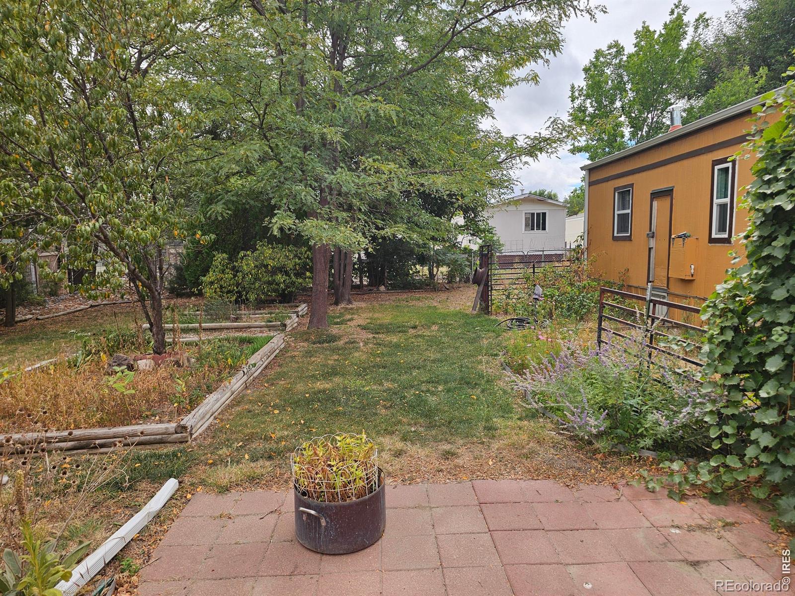 MLS Image #2 for 227  balsam street,log lane village, Colorado