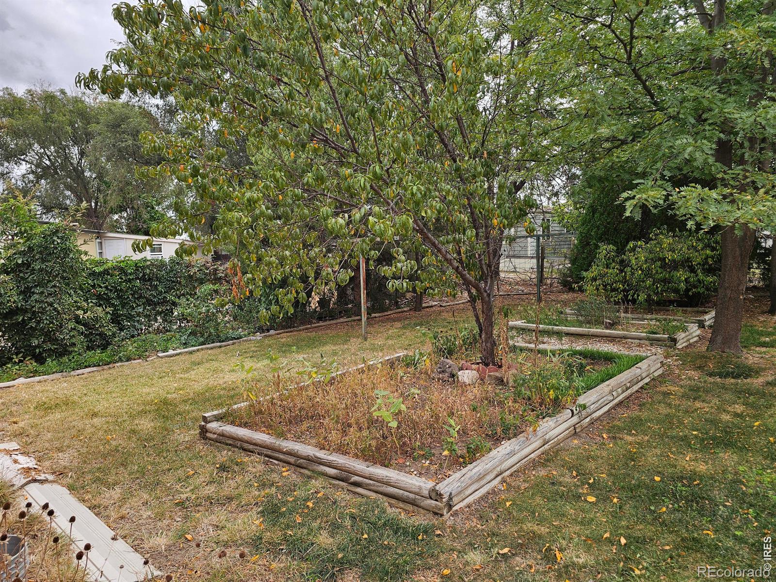 MLS Image #5 for 227  balsam street,log lane village, Colorado