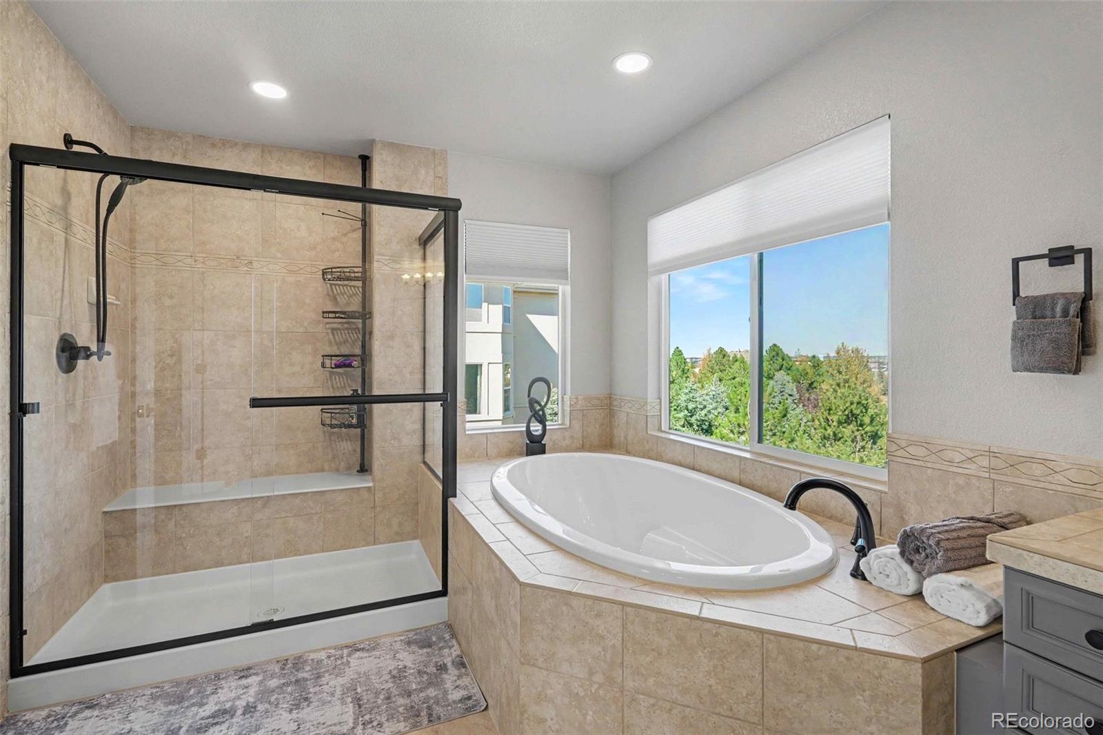 MLS Image #7 for 5562  rim view place,parker, Colorado