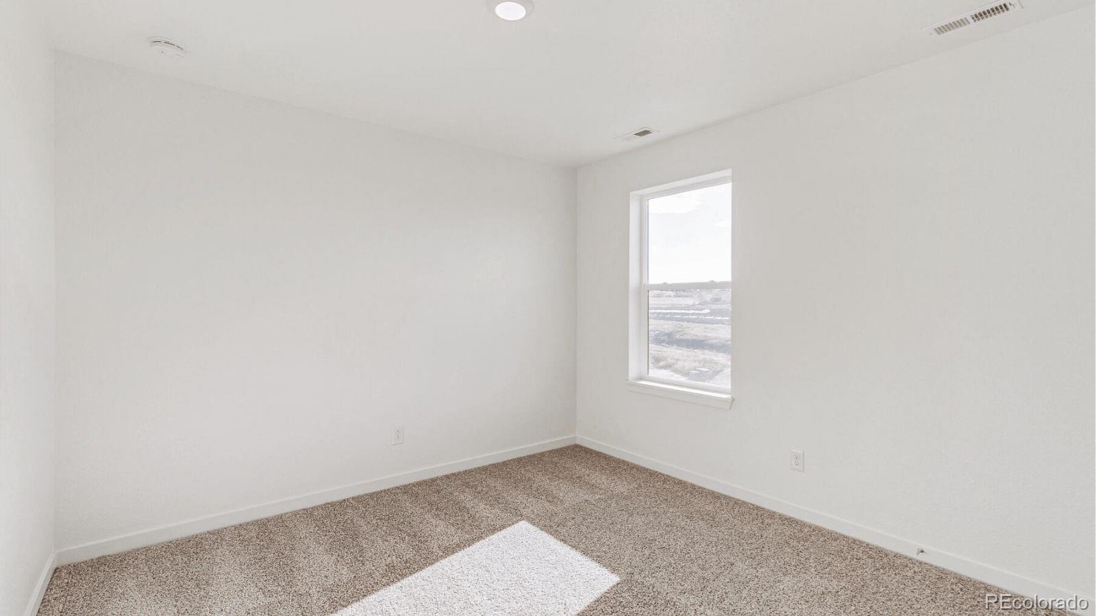 MLS Image #13 for 394 n allium street,watkins, Colorado