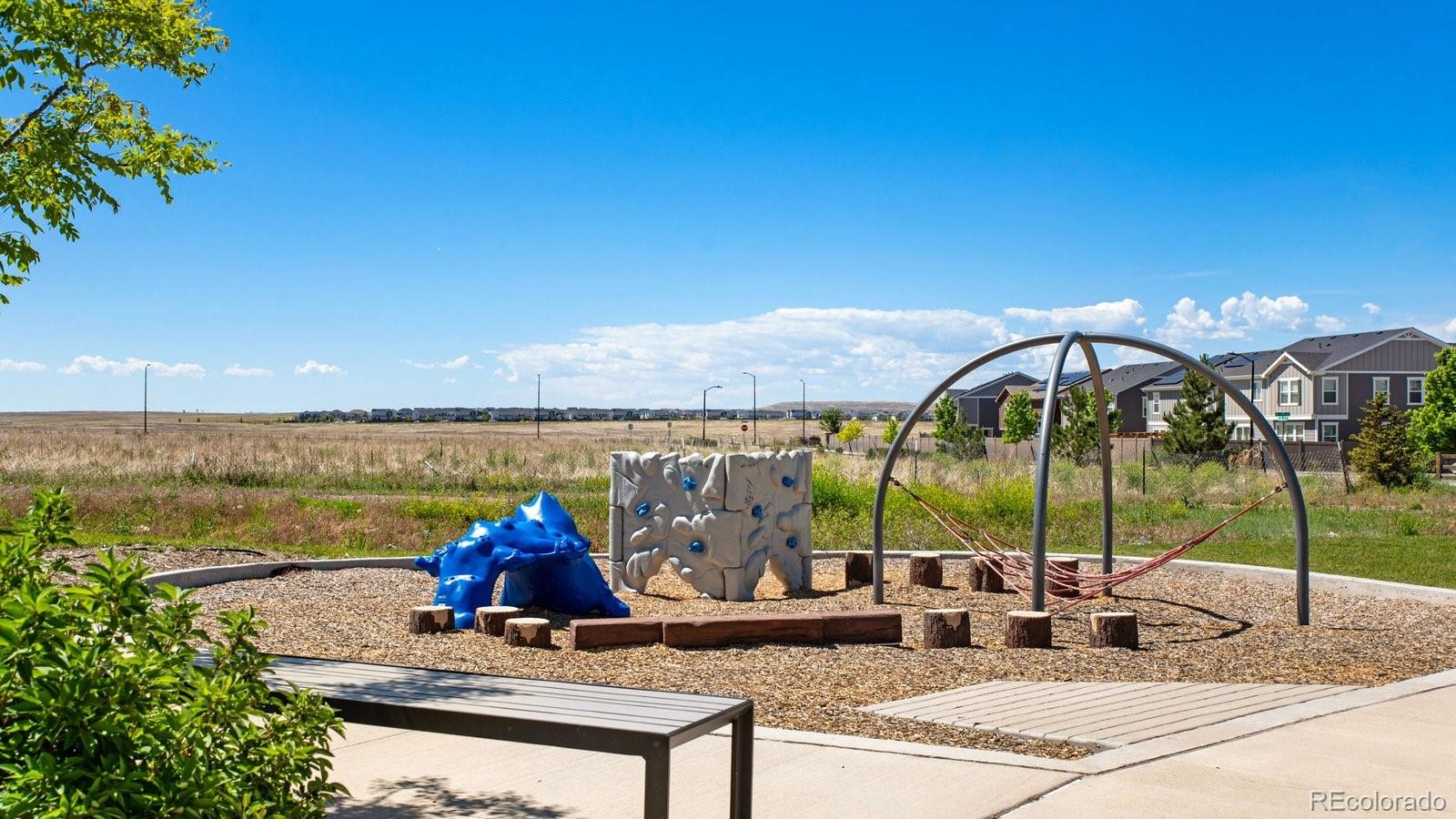 MLS Image #22 for 394 n allium street,watkins, Colorado
