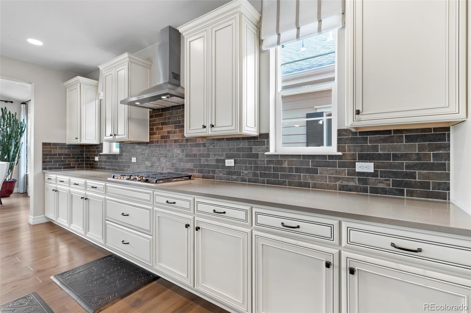 MLS Image #12 for 6135  saddle bow avenue,parker, Colorado