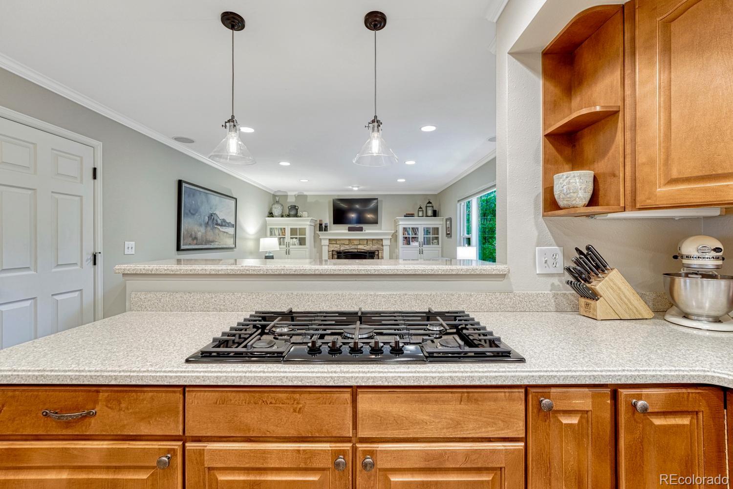 MLS Image #10 for 7210 s hudson way,centennial, Colorado