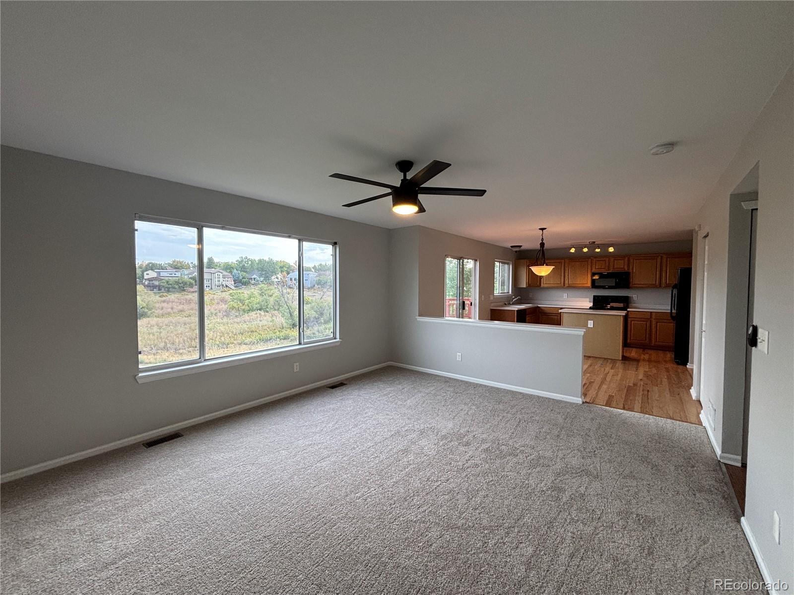 MLS Image #8 for 10368  woodrose lane,highlands ranch, Colorado