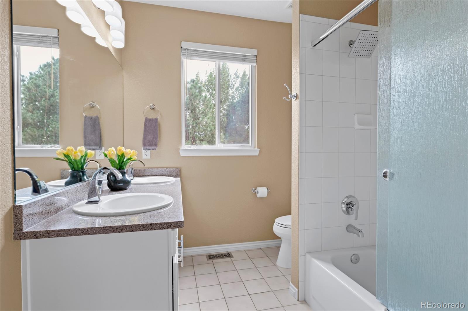 MLS Image #39 for 6460 e 165th court,brighton, Colorado
