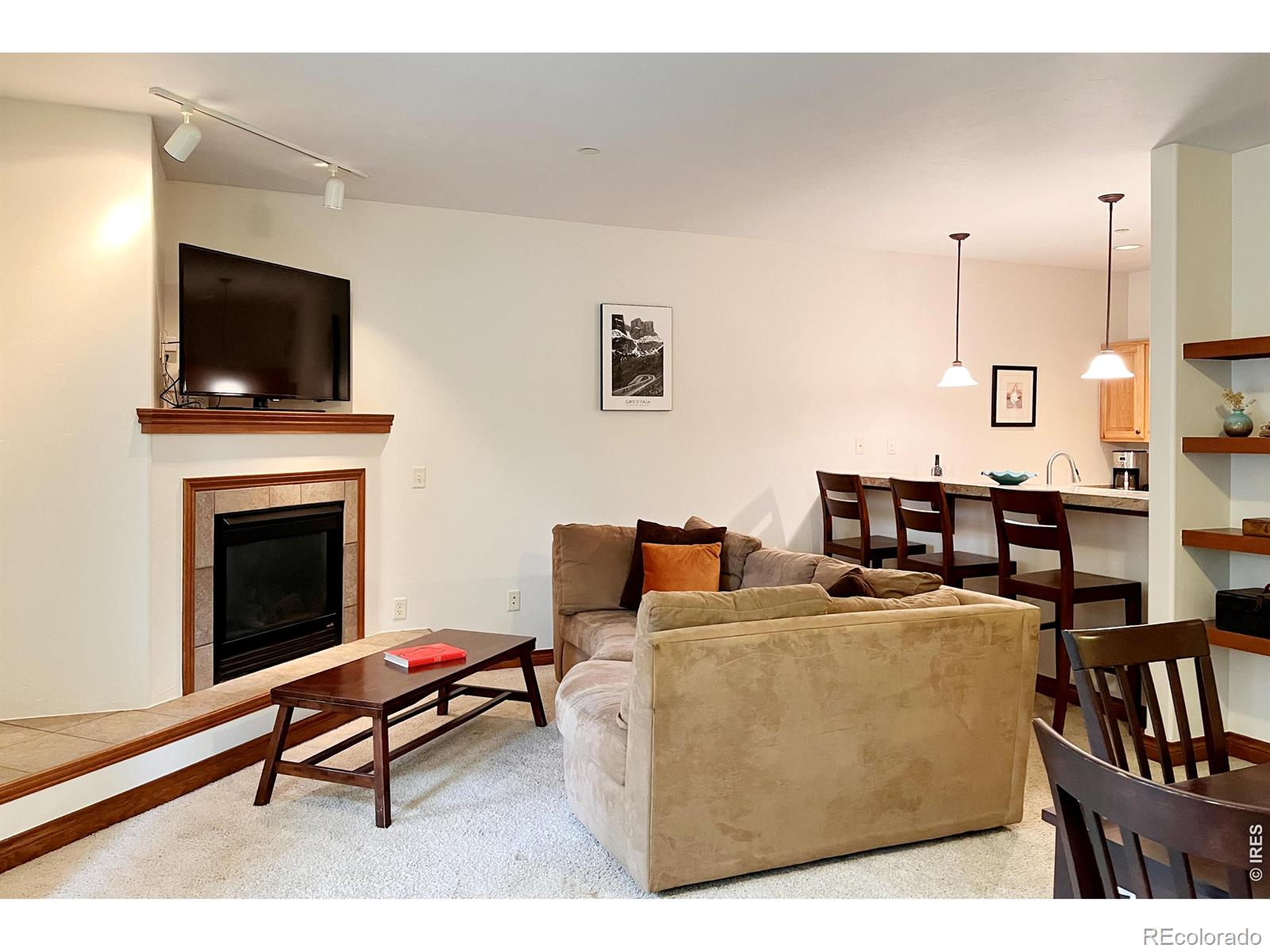 MLS Image #12 for 801  lakepoint drive,frisco, Colorado
