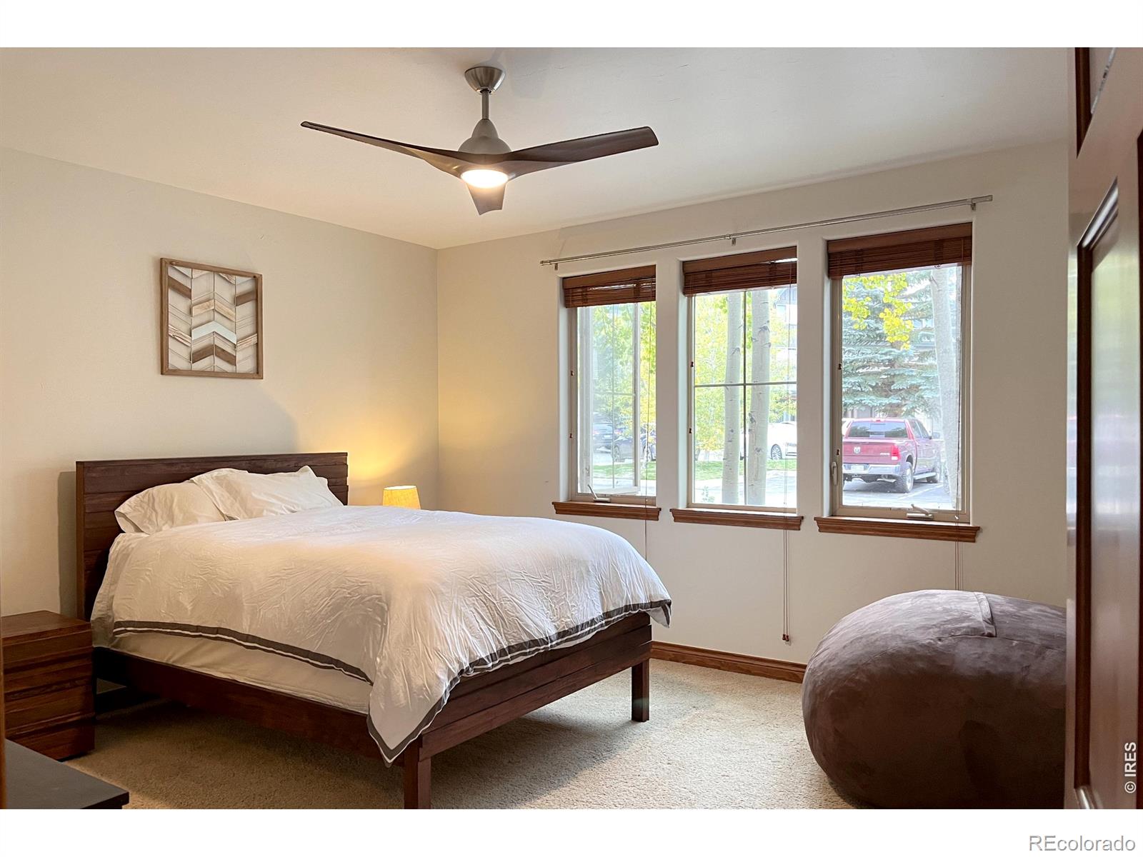 MLS Image #5 for 801  lakepoint drive,frisco, Colorado