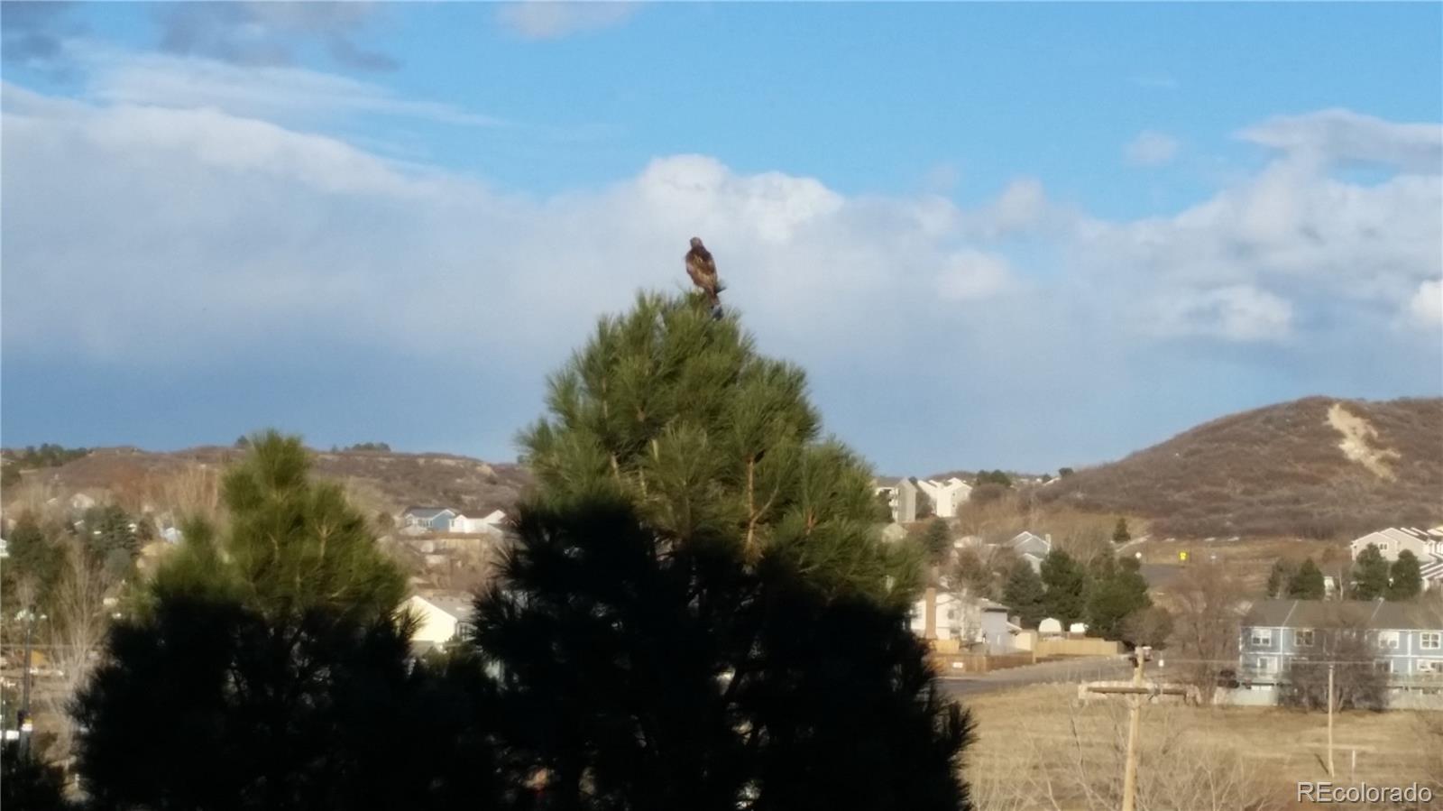 MLS Image #22 for 1574  olympia circle,castle rock, Colorado