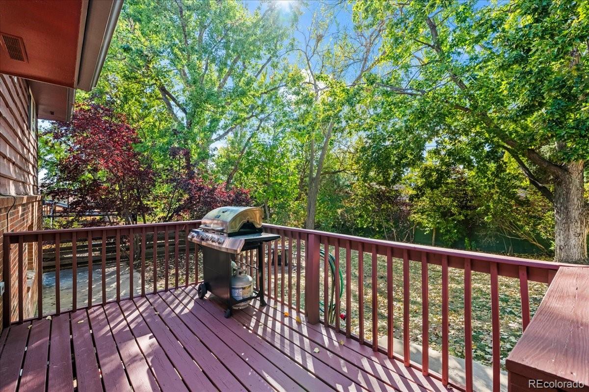 MLS Image #12 for 61  birch court,longmont, Colorado