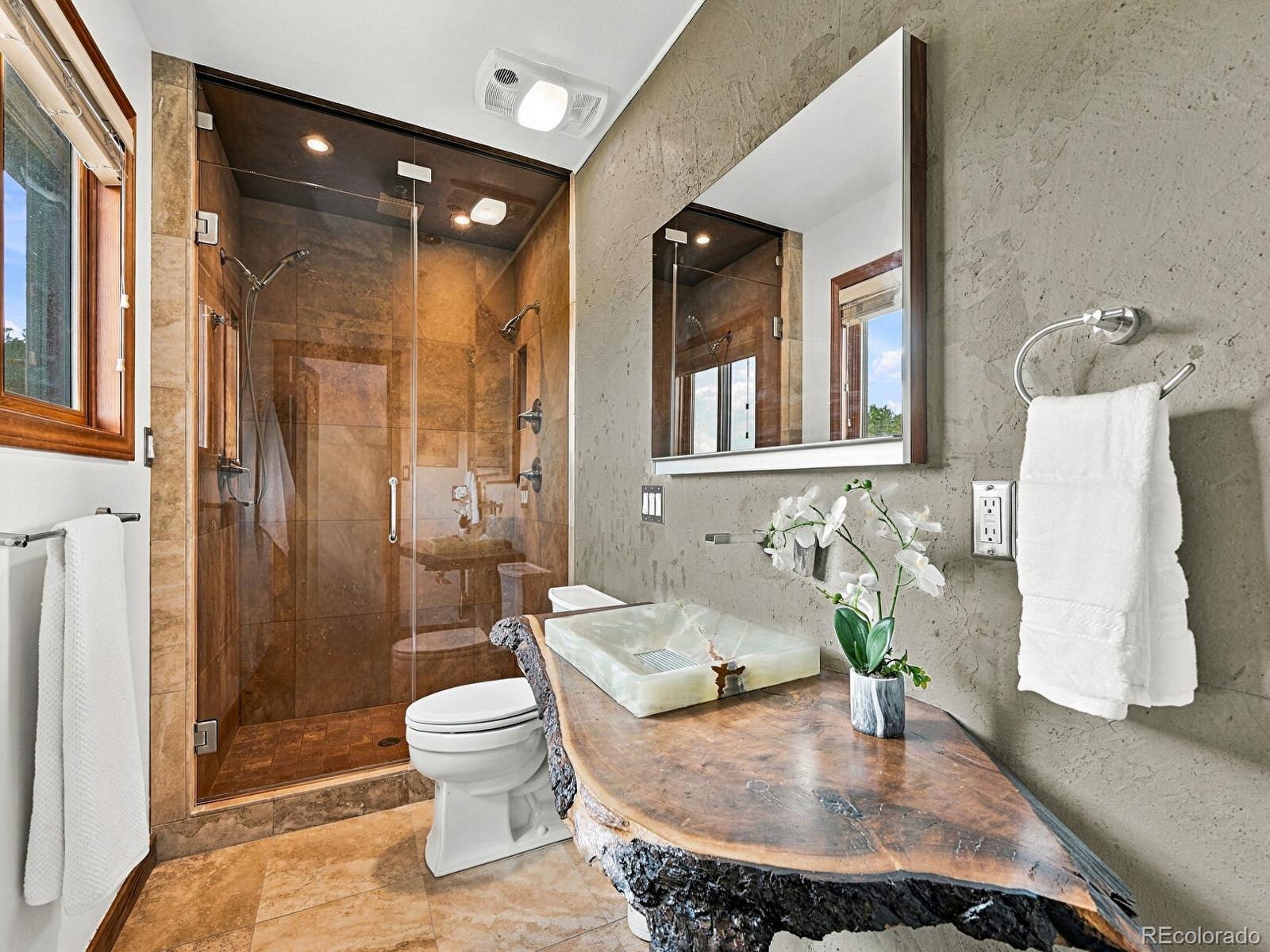 MLS Image #24 for 8641 s warhawk road,conifer, Colorado
