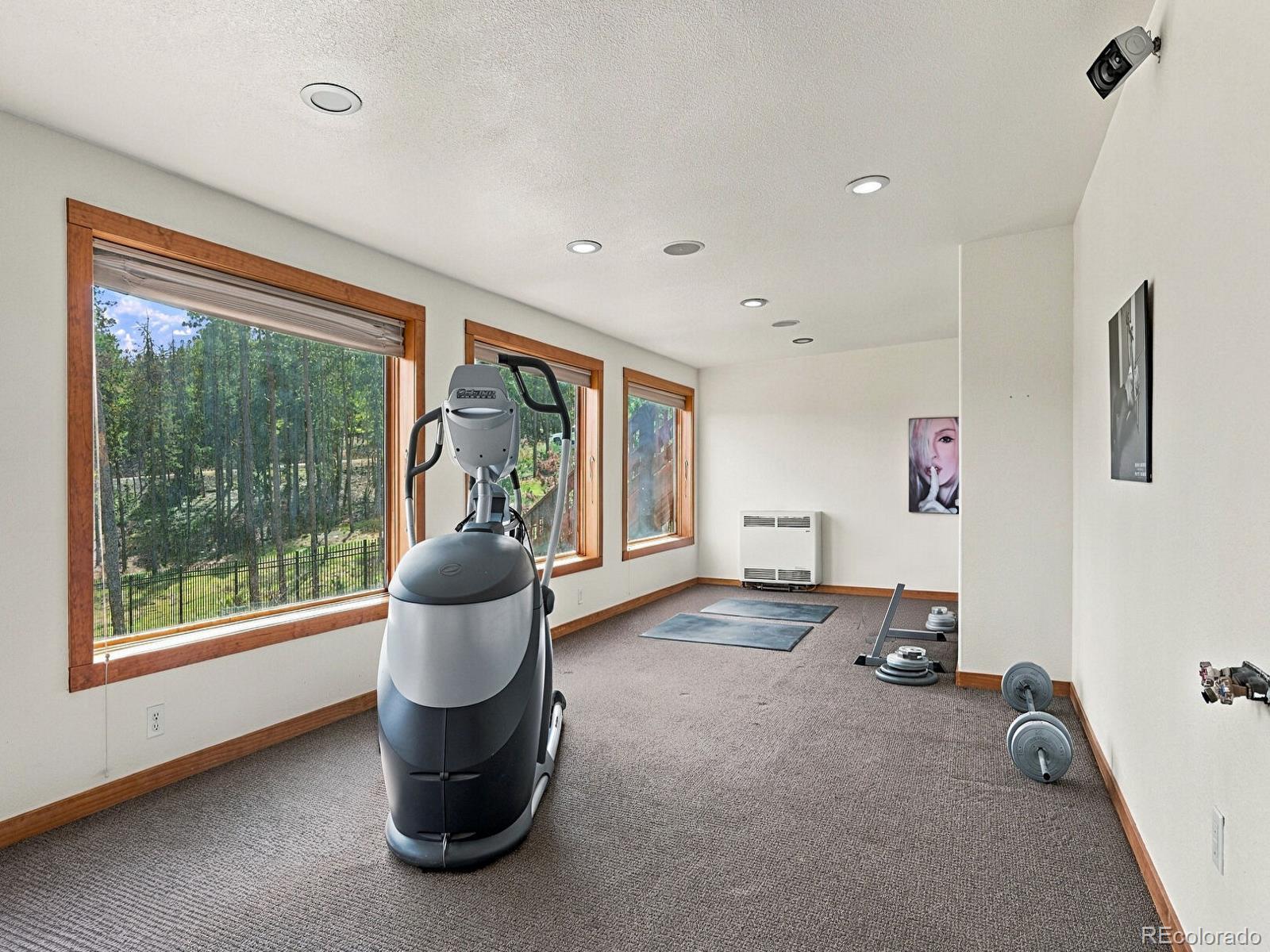 MLS Image #33 for 8641 s warhawk road,conifer, Colorado