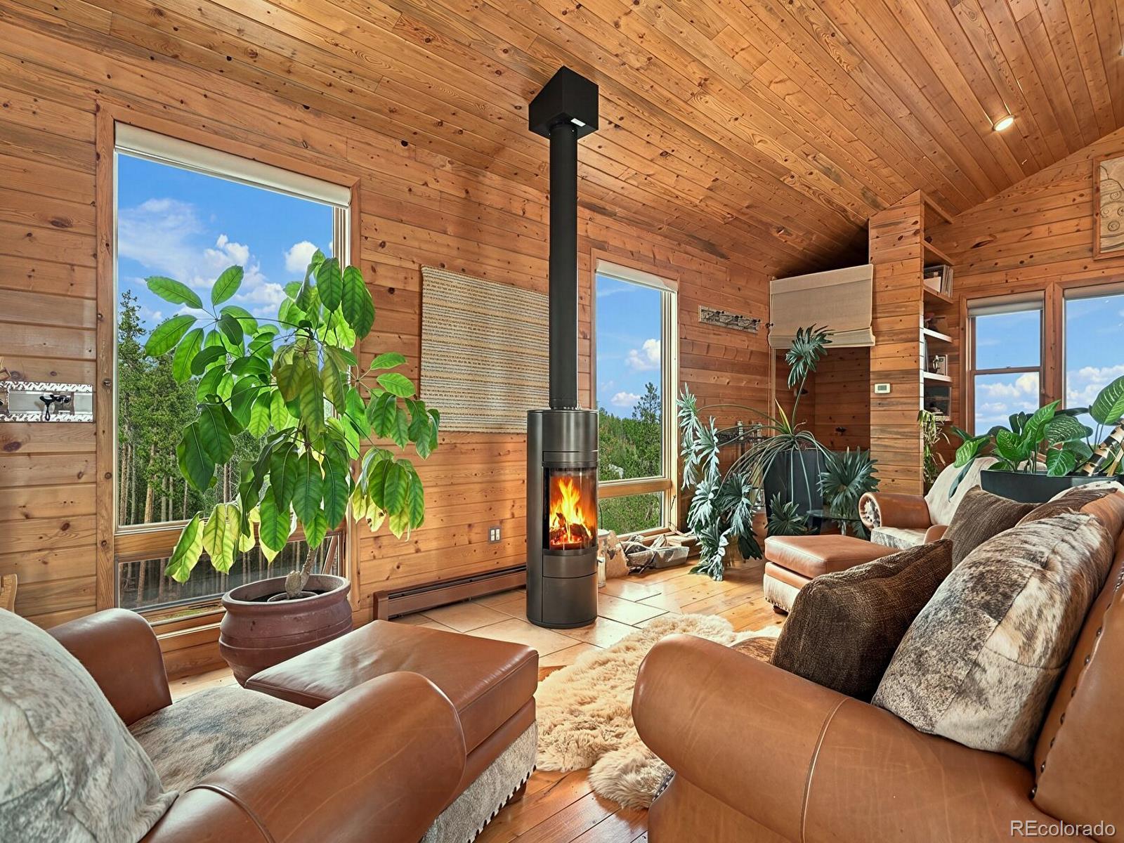 MLS Image #37 for 8641 s warhawk road,conifer, Colorado