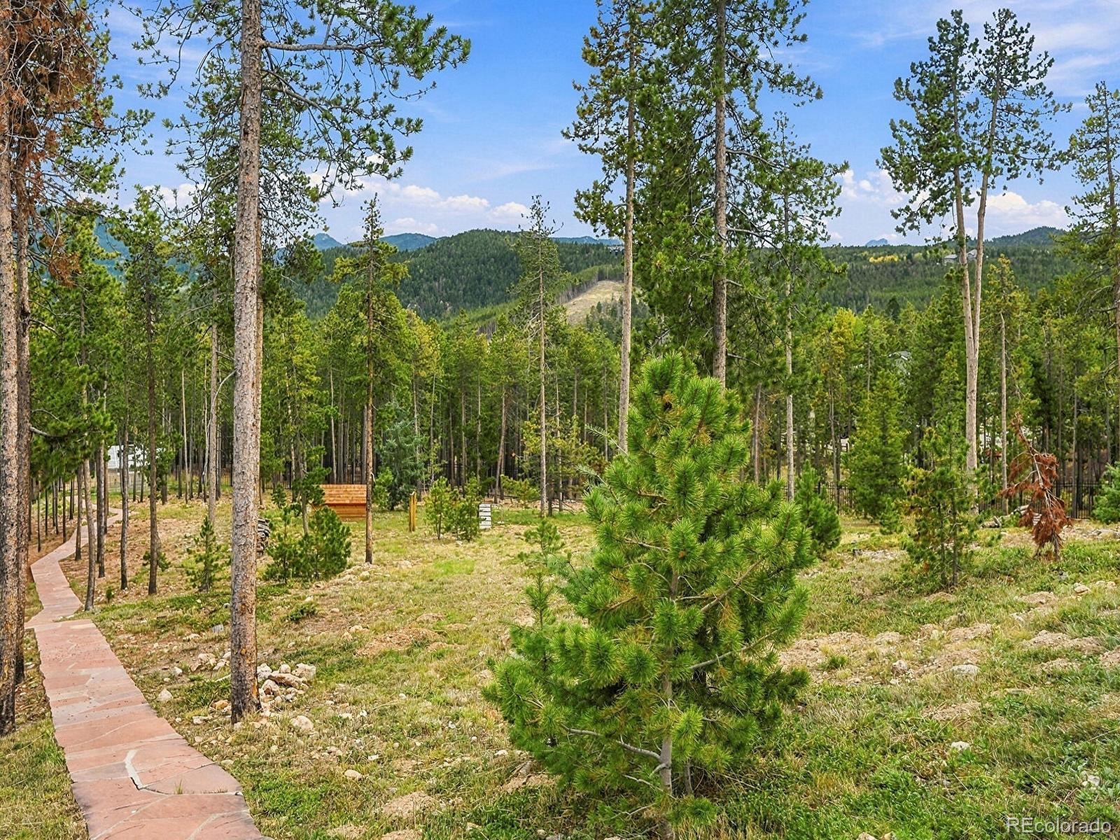 MLS Image #40 for 8641 s warhawk road,conifer, Colorado