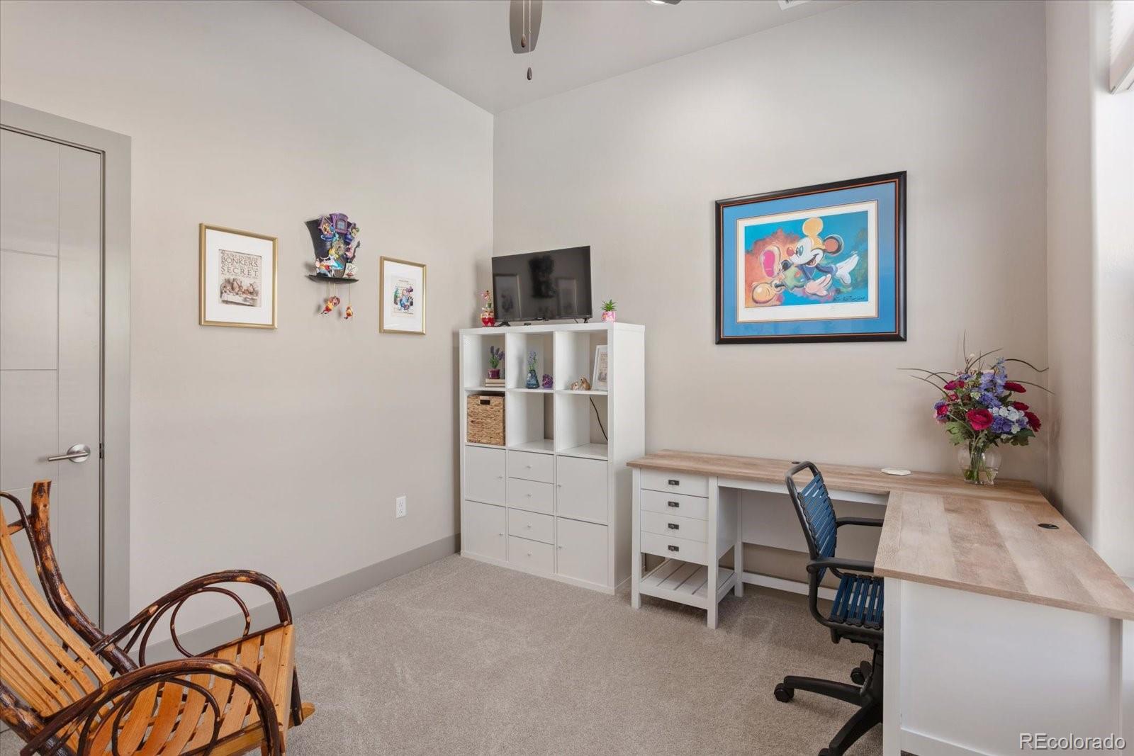 MLS Image #10 for 1120  agate lane,poncha springs, Colorado