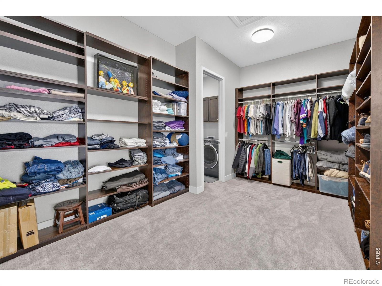 MLS Image #22 for 4527  colorado river drive,firestone, Colorado
