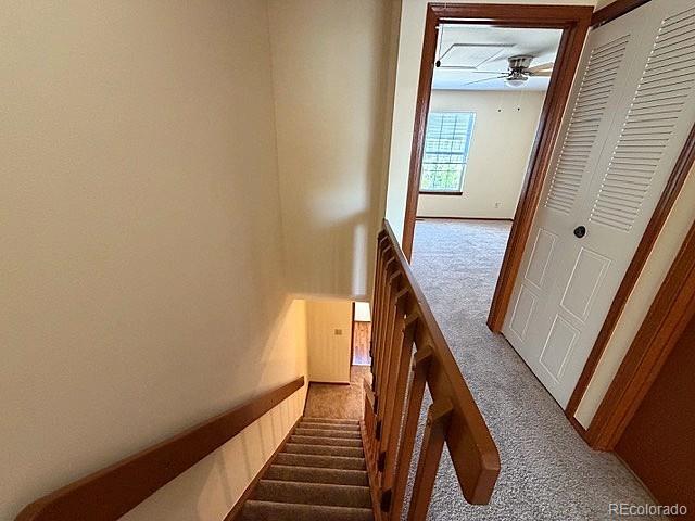 MLS Image #15 for 1699 s trenton street 95,denver, Colorado