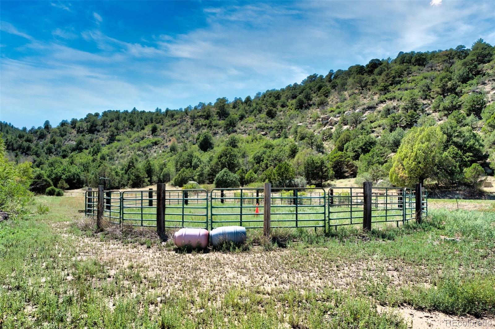 MLS Image #22 for 33822  fishers peak parkway,trinidad, Colorado