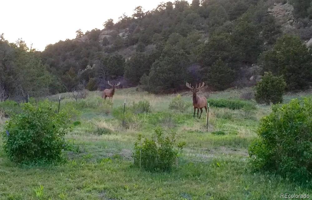 MLS Image #34 for 33822  fishers peak parkway,trinidad, Colorado