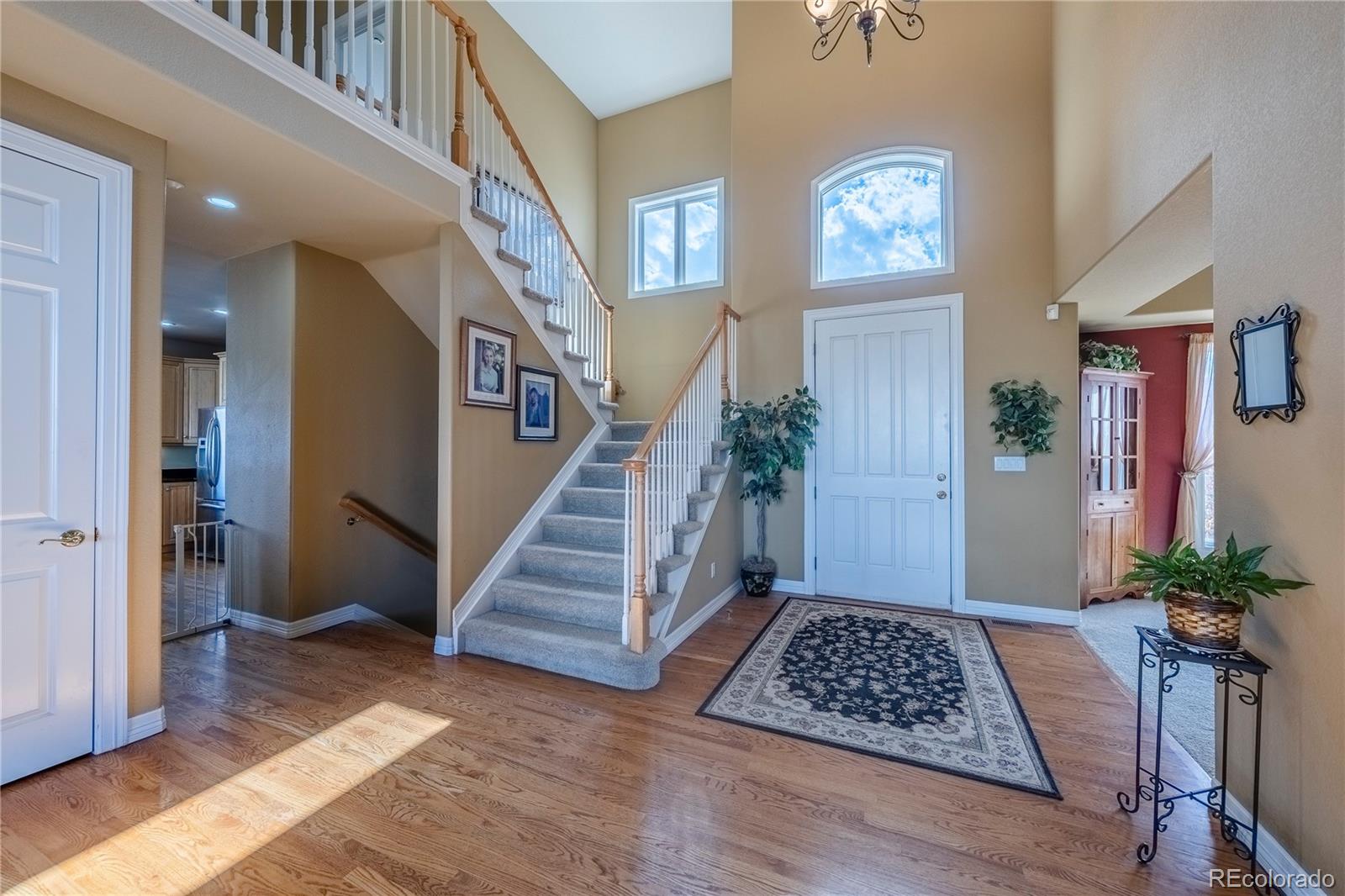 MLS Image #13 for 4158  enchantra circle,castle rock, Colorado