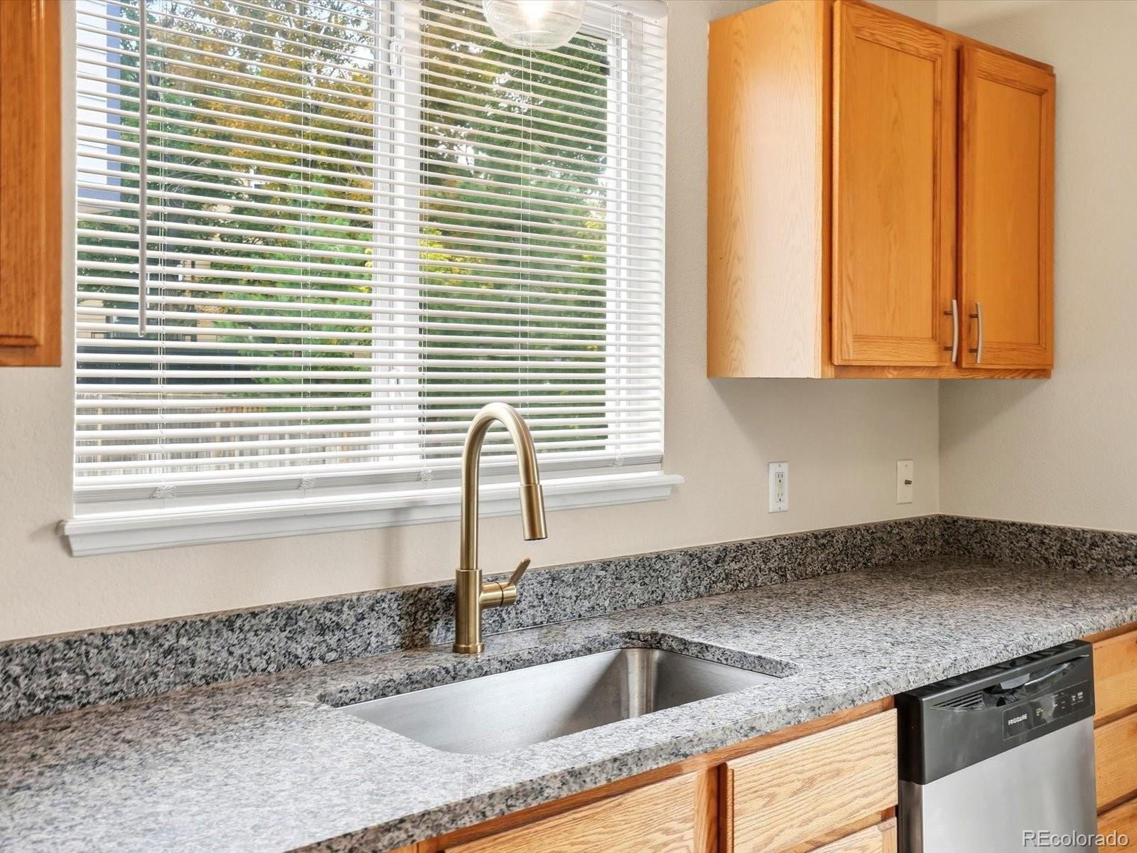 MLS Image #13 for 16291  white hawk drive,parker, Colorado
