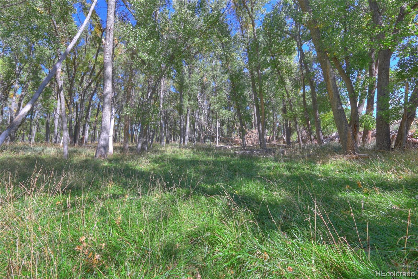MLS Image #10 for 37401  us-160 pkwy ,trinidad, Colorado