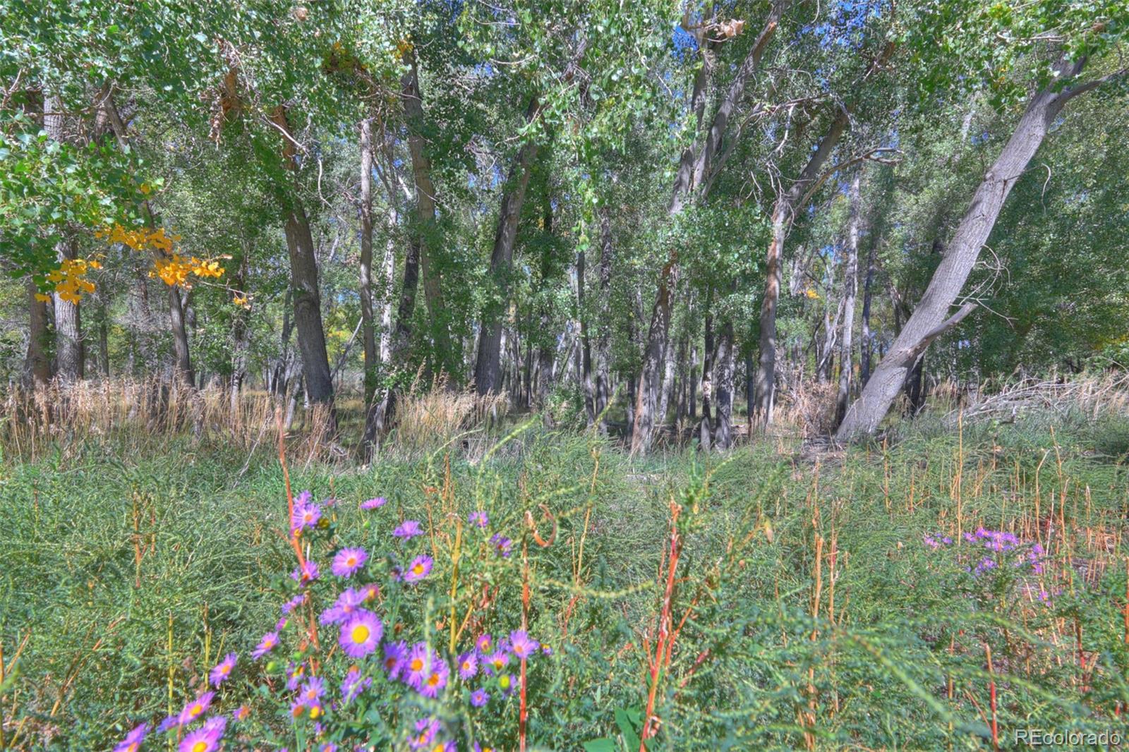 MLS Image #11 for 37401  us-160 pkwy ,trinidad, Colorado