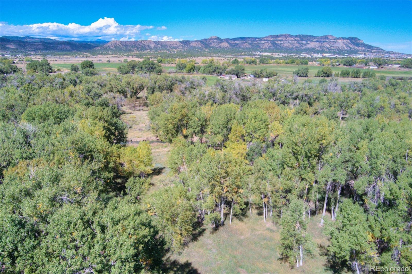 MLS Image #23 for 37401  us-160 pkwy ,trinidad, Colorado