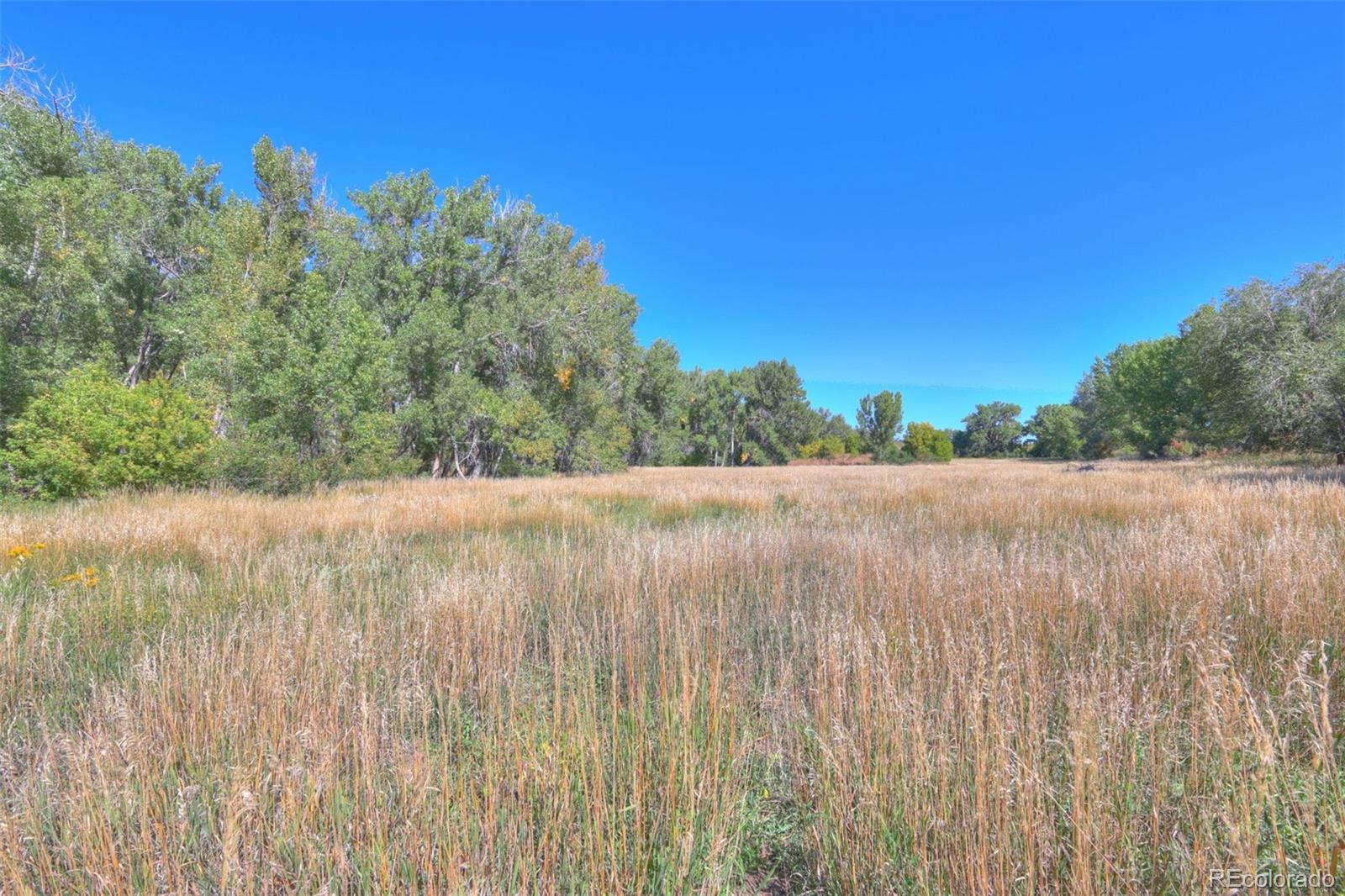 MLS Image #9 for 37401  us-160 pkwy ,trinidad, Colorado